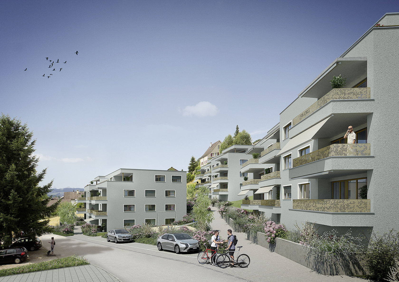 3765 Weinstr Hitzkirch 01